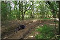 Deep Ruts on Byway 277_55 in CM14 5SU