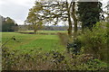Farmland, Betchworth Park in RH5 4EB