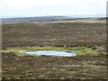 Pond or Shake Hole on Blackmoor Skirt in NE48 2JE
