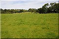 Field opposite Llaneon in Glascwm Community