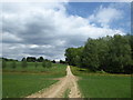 The Greensand Way approaching Fairlawne Home Farm in TN11 9RH