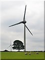Wind turbine on Royd Moor in S36 9NH