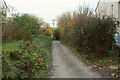 Track from Calvesford Road in EX38 7DB