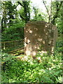 Remains of pumping engine structure in TF2 8TB