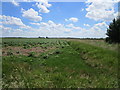 Potato field in Old Inclosed Marsh in PE14 7JY