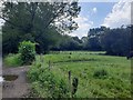 Field adjacent to Ledston Mill Lane in WF10 2BE