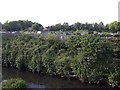 Allotments beside the Ouseburn, Gosforth, Newcastle upon Tyne in NE3 2DW