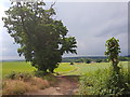 Footpath to East Grove Farm, Shrawley in WR6 6LQ