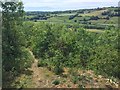 Path on top of Eyarth Rocks in LL15 2PA