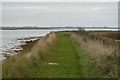 Solent Way, Farlington Marshes in PO3 5LY
