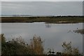 Pond, Farlington Marshes in PO3 5LY