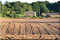 Evening light on new furrows, Morrisholt Farm in SP5 2TE
