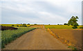 Farm track near Nether Hall, Moreton in CM5 0EY
