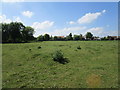 Grass field at the centre of Boothby Pagnell in NG33 4DQ