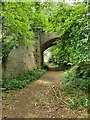 Old Railway Bridge near Alfrick in WR6 5QR