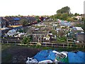 Allotment gardens, Longbenton in NE12 8RY