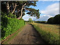 Bridleway near Norton Hall, Norton Mandeville in CM5 9RR