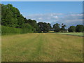 Wide field margin, near Norton Hall, Norton Mandeville in CM5 9RS