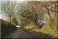 Lane to Gammaton Moor in EX39 4QG