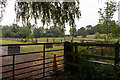 Fields south of Puddling Lane in SO23 7HB