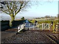 Cattle grid on western side of Mynydd Llwyd in NP11 5AY