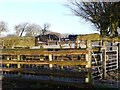 Sheep pens adjacent to the cattle grid in NP11 5AY