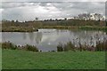 Whetstone Gorse Fishery in LE8 6UL