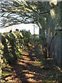 Footpath to Housty (2) in NE47 9AU