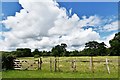 Bressingham, Wortham Manor: Grazing land in IP22 1SH