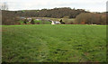 Field, Halspill in EX39 4RA
