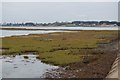 Salt marshes, Langstone Harbour in PO3 5LY