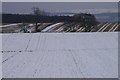 Wintry fields at New Alyth in PH11 8NB