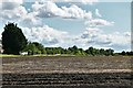 Hinderclay: Ploughed field at Walnut Tree Farm in IP22 1JL