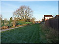 Path beside the allotments in B32 4LT