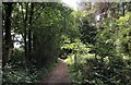 Path beside Winterpick Wood in Lower Beeding