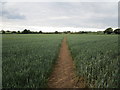 Footpath to Westby in Bitchfield and Bassingthorpe