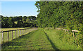 Track near Pickett's Wood, Stondon Massey in CM4 0JX