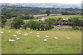Ty Pentre Farm, Mynyddislwyn in NP12 2BF