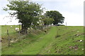 Track at edge of field, Mynyddislwyn in NP12 2BF