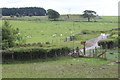 Sheep pasture, Mynyddislwyn in NP12 2BF