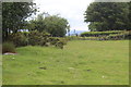 Corner of roadside field, Church Farm in NP12 2BF