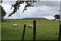 Covered reservoir, Mynyddislwyn in NP12 2BF