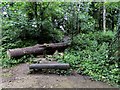 Log bench in the C.S. Lewis Nature Reserve in OX3 8TA