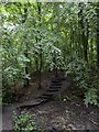 Footpath in the C.S. Lewis Nature Reserve in OX3 8TA