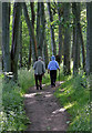 A woodland path by Lindean Loch in TD7 4QN