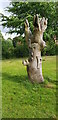 Carved Tree Statue, Chinn Brook Recreation Ground in B13 0NG