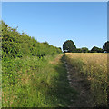 Footpath on field boundary, near Nine Ashes Farm in CM4 0JY