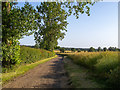 Footpath on field boundary, near Paslow Hall, High Ongar in CM5 9QZ