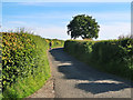Cyclist on the Craigthornhill Road near Glassford in Glassford