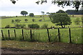 View from Church Farm to WT masts in NP12 2BF